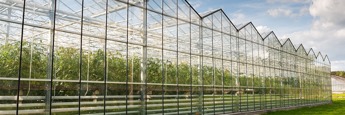 1530514553126775.jpg sdkz.jpg